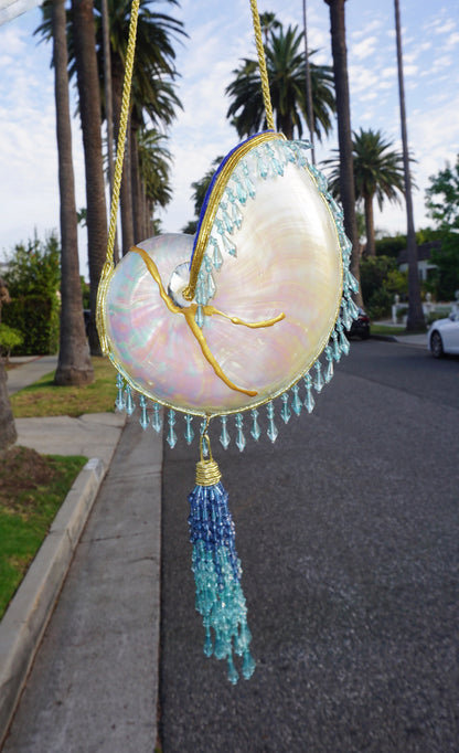 Kintsugi Aquamarine Angelfish